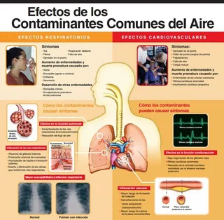 Efectos adversos sobre la salud de las personas