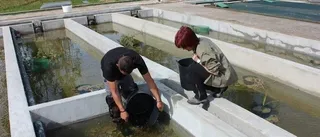 Más de 3.800 personas han participado en las acciones de educación ambiental de Life+ Desmania