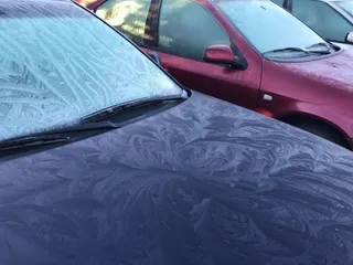 Frio