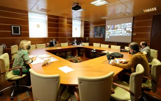 La consejera de Sanidad, Verónica Casado, participa, de manera telemática, en la reunión del Consejo Interterritorial del Sistema Nacional de Salud. | FOTO: ICAL