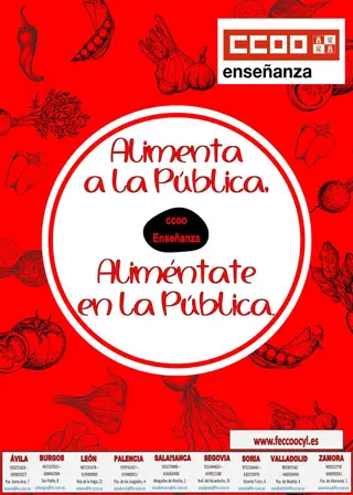 CCOO enseñanza.