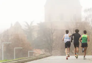 Ganador del XXX Concurso Fotográfico San Silvestre Salmantina