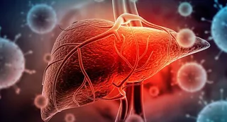La Universidad de Salamanca participa en el nuevo estudio europeo que muestra el aumento de la incidencia y mortalidad del cáncer de vías biliares