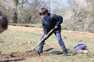 Plantación de árboles de 160 alumnos de 7 centros que tienen "Sello Ambiental Escolar"
