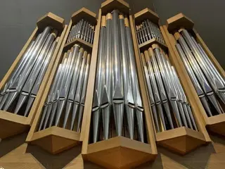 La música y la tradición del órgano se preparan para llenar la Catedral Nueva de Salamanca 
