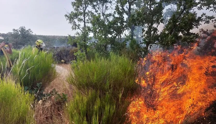 Incendio Zona La Almendra