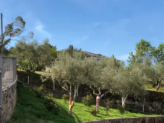 XXVII Ruta de Senderismo de Mieza (50)