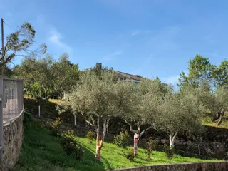 XXVII Ruta de Senderismo de Mieza (50)