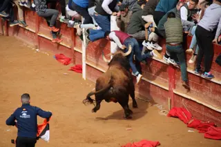 Momento de una de las cogida al maletilla Jerónimo Sandoval durante la capea del martes del Carnaval del Toro 2025. Fotos Salamanca24horas.com