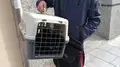 Un hombre pierde su hogar y deja a su gato en un refugio: la historia que conmociona a Salamanca