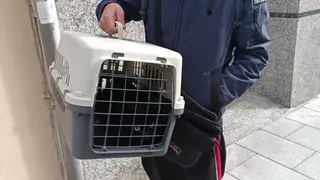 Un hombre pierde su hogar y deja a su gato en un refugio: la historia que conmociona a Salamanca