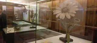 ‘Flor en un jardín de sueños. La colección histórica de modelos botánicos de la Universidad de Salamanca’.