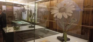 ‘Flor en un jardín de sueños. La colección histórica de modelos botánicos de la Universidad de Salamanca’.