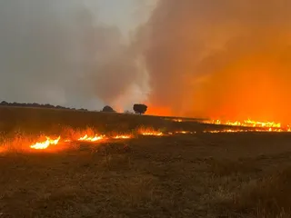 Incendio Forestal, término de Morasverdes, viernes 15 de julio de 2022 S24H (3)
