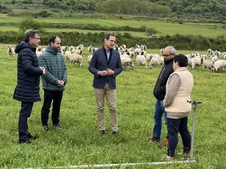 Visita a una explotación de ovino