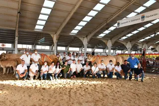 Premiados en el concurso de la raza blonde de aquitania