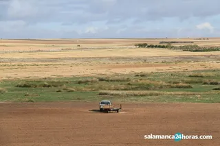 Campo septiembre (7)