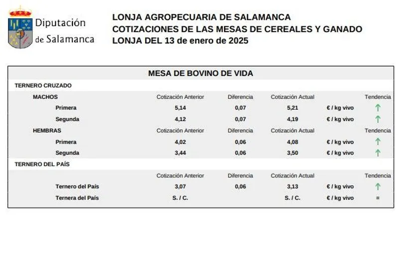 Mesa de bovino de vida lonja 13 de enero 2025