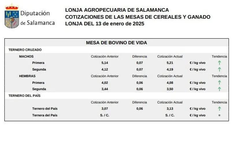 Mesa de bovino de vida lonja 13 de enero 2025