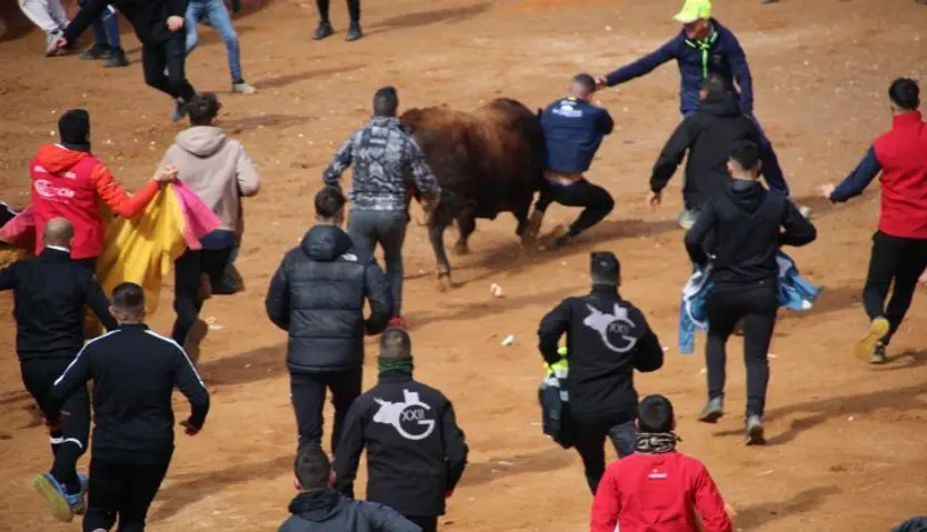 El recortador César Fernández, corneado en la capea del martes del Carnaval en Ciudad Rodrigo