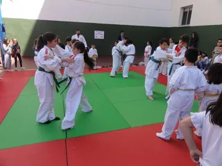 Colegio San Juan Bosco Fiesta María Auxiliadora (8)