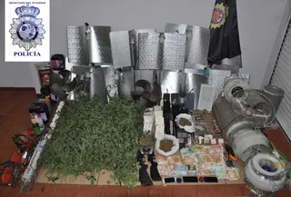 VÍDEO | Los cuatro detenidos en Béjar y Cespedosa tenían 525 plantas de marihuana
