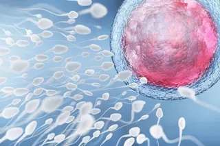 ¿Afecta la COVID la fertilidad masculina? | EP