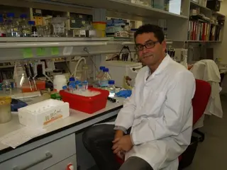 Desvelado el mecanismo molecular que regula el tamaño celular en función de los nutrientes