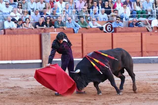 Corrida de El Vellosino: momentos más destacados del tercer festejo de abono de la Feria Taurina Virgen de la Vega 2024. Fotos Andrea M.