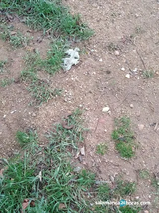 IMG 20200115 171744