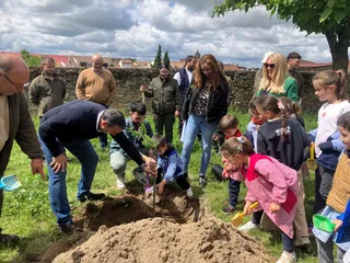 AFE Lumbrales Jardinería y montes