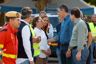 La Junta aprobará un plan de recuperación para la zona afectada por el incendio de Ávila | Ical