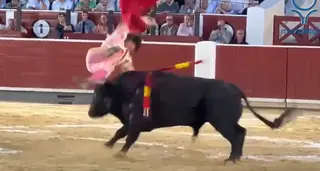 El torero Damián Castaño sufre una grave cogida en Albacete. FOTO: MUNDO TORO
