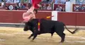 El torero Damián Castaño sufre una grave cogida en Albacete. FOTO: MUNDO TORO