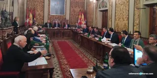 Pleno diputación diciembre 2019 (2)