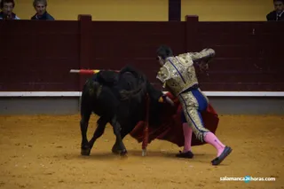 Novillada en alba de tormes (148)
