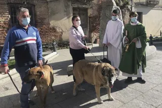 Algunos de los vecinos que han bendecido a sus mascotas