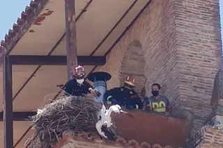 Los bomberos del parque comarcal de Peñaranda durante la operación de rescate de la cigüeña