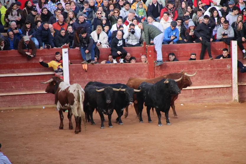 Encierro de martes en el Carnaval del Toro de Ciudad Rodrigo 2026