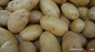 Alfalfa, planta de fresa y patata de siembra incrementan sus exportaciones