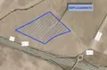 Emplazamiento de la macrogranja junto a la A-50 