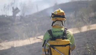 Bomberos forestales Foto: S24H