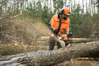 34660588 trabajador forestal con motosierra está aserrando un tronco muestra de trabajos sobre la tala de los b copia