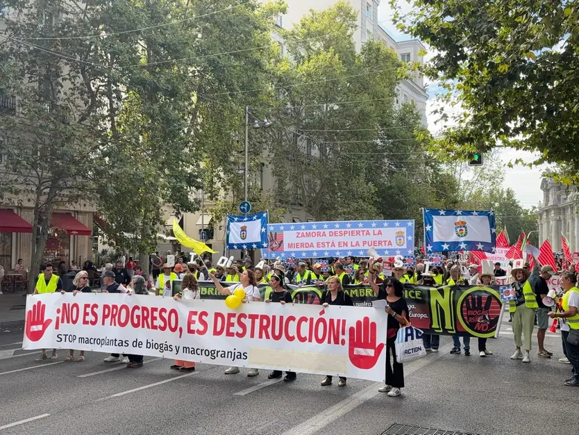 Vecinos de Machacón, Tornadizos y Babilafuente se concentran en Madrid para exigir la paralización de los proyectos de macro-plantas de biogás y biometano