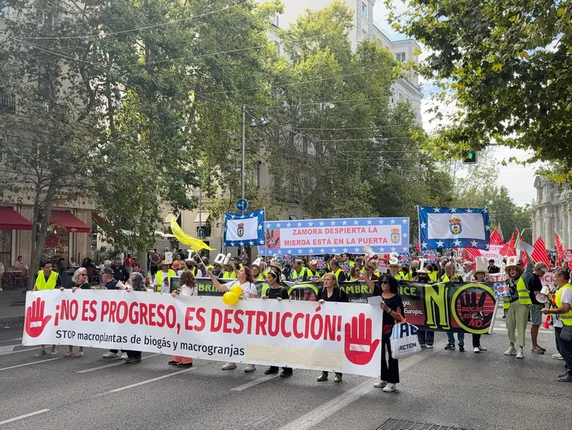 Vecinos de Machacón, Tornadizos y Babilafuente se concentran en Madrid para exigir la paralización de los proyectos de macro-plantas de biogás y biometano