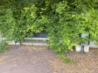 Vecinos de Huerta Otea denuncian el estado de dejadez del parque Juan Tenorio
