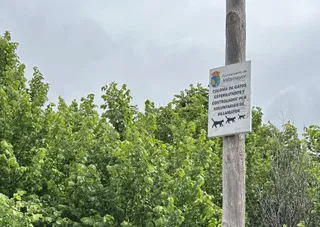 El Ayuntamiento de Villamayor aprueba un Plan de Gestión Ética de Colonias Felinas