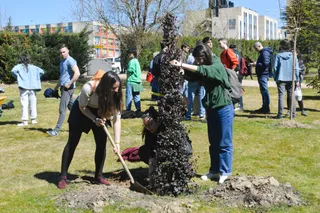 Imagen de la plantación Comunicación USAL