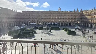 Comienzan a instalar el árbol de Navidad en la Plaza Mayor