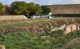 Solar Botanico